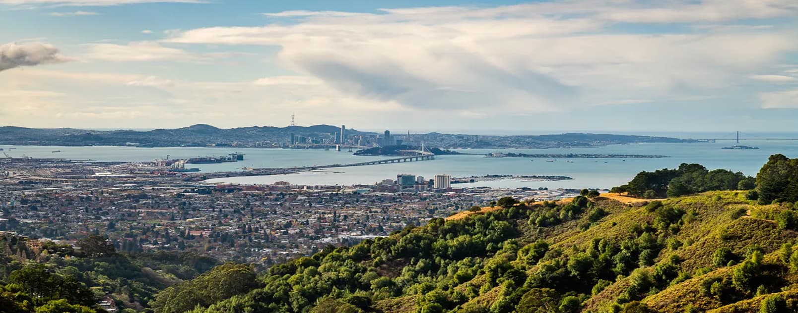 View of the Bay Area